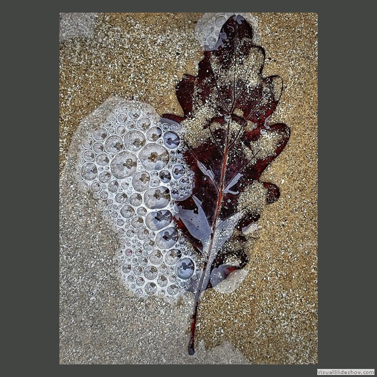 Advanced Section Highly Commended - Washed Ashore by Viv Healy