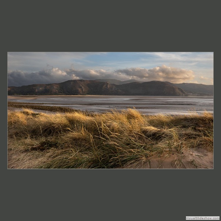 Advanced Section Third Place - Evening on Westshore by Phillip Chadwick