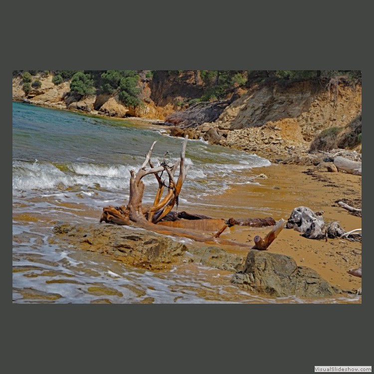 Intermediate Section Commended - Driftwood by Helen Walker