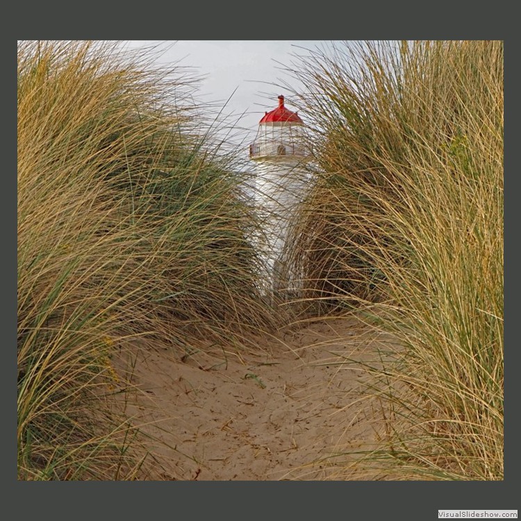 Intermediate Section First Place - Grass Peeping by Helen Walker
