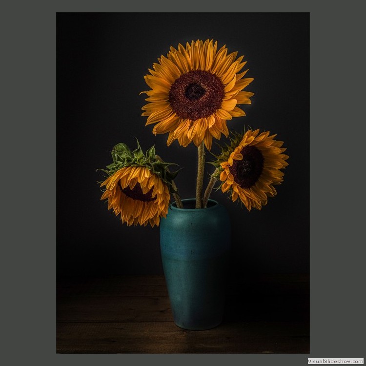 Advanced Section Third Place - Sunflowers by Viv Healy