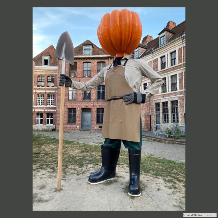 Intermediate Section Commended - Pumpkin Gardener by Sylvia Pinches