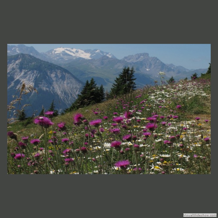 Advanced Section Commended - Alpine Springtime by Robert Tyson