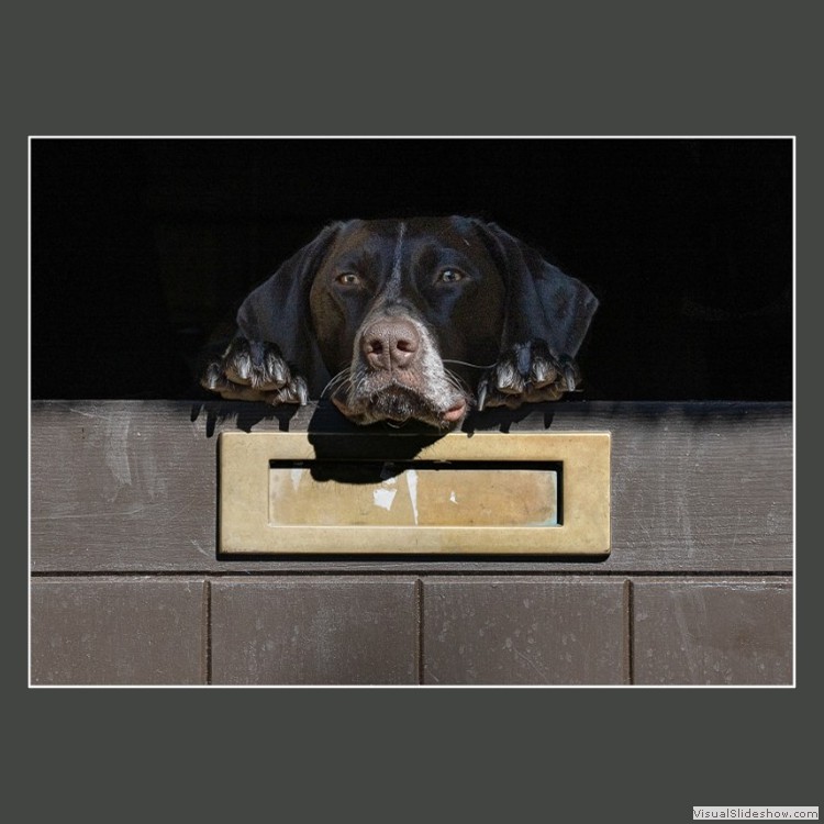 Advanced Section Highly Commended - Who Goes There by Phillip Chadwick