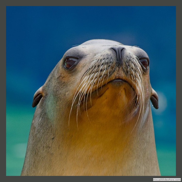 Intermediate Section Second Place - Where's My Fish by Michael Smith