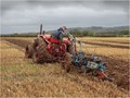 Advanced Section Commended - Preparing the Ground by Mike Castle